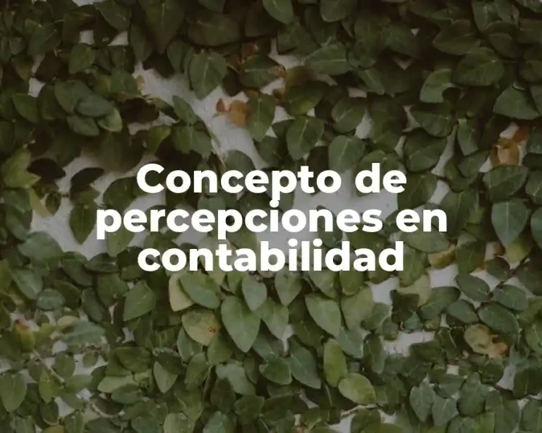 Concepto de percepciones en contabilidad
