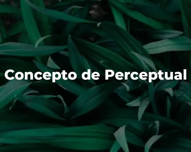 Concepto de Perceptual