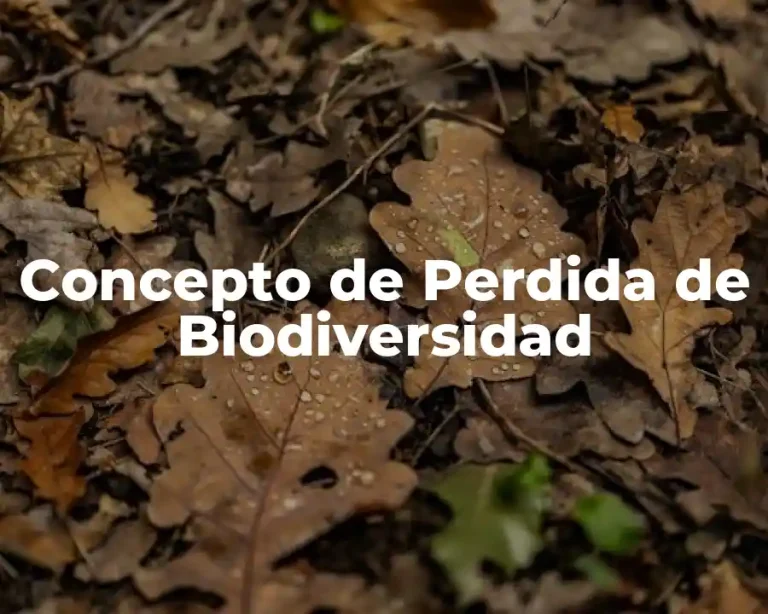 Concepto de Perdida de Biodiversidad