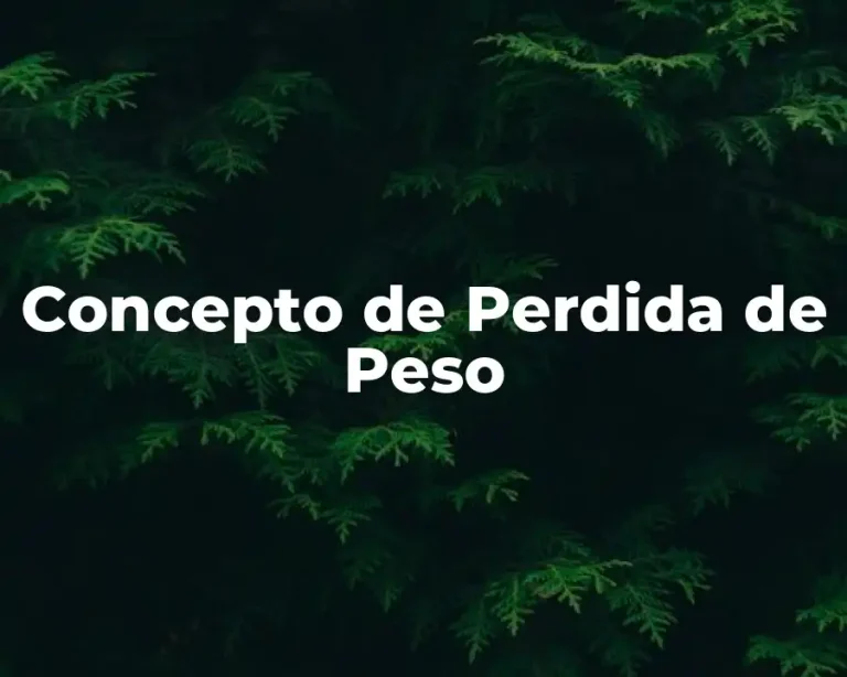 Concepto de Perdida de Peso