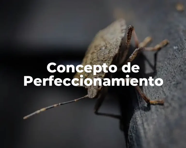 Concepto de Perfeccionamiento