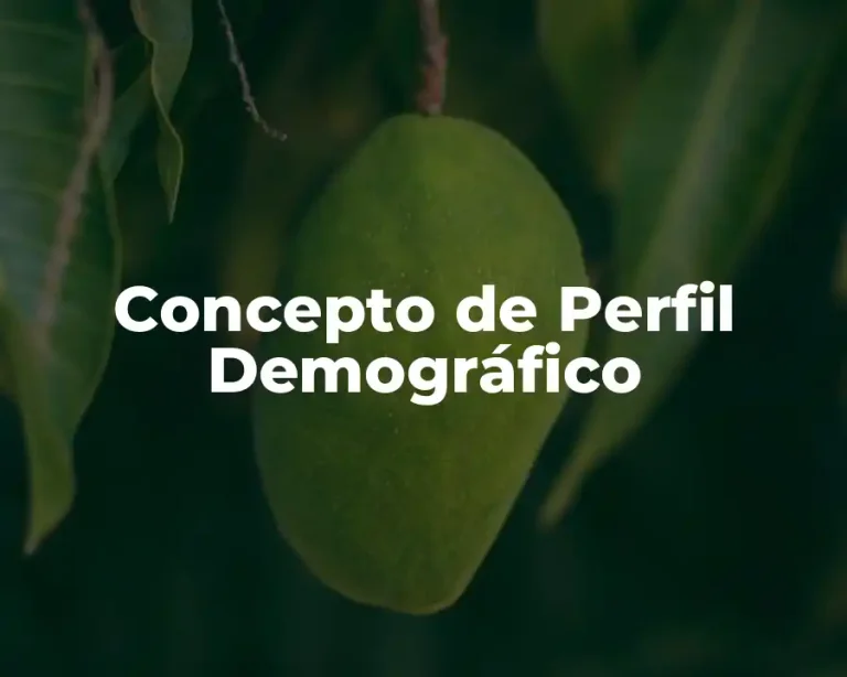 Concepto de Perfil Demográfico