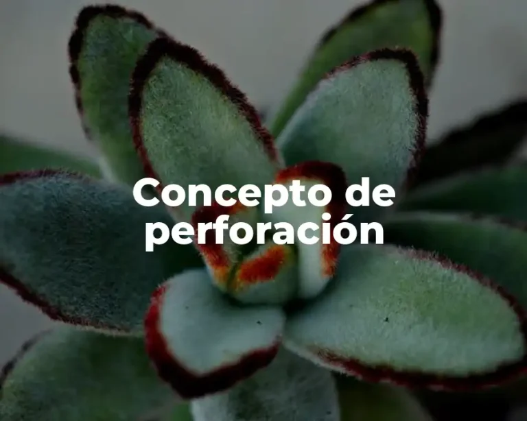 Concepto de perforación