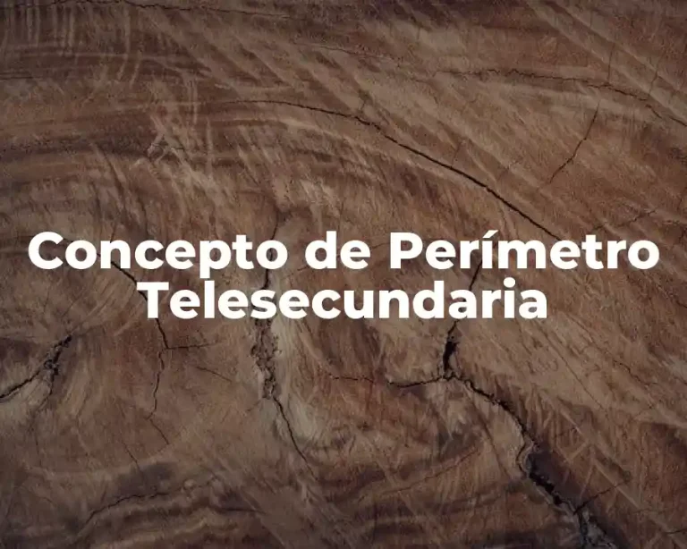 Concepto de Perímetro Telesecundaria