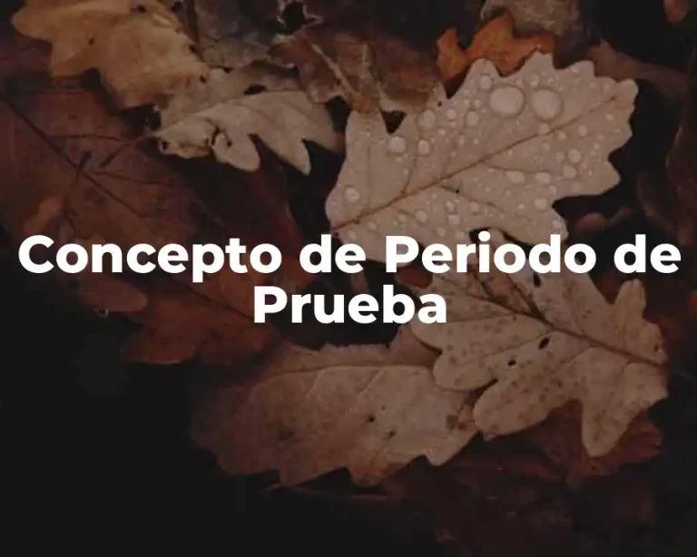 Concepto de Periodo de Prueba