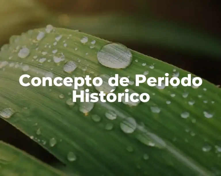 Concepto de Periodo Histórico