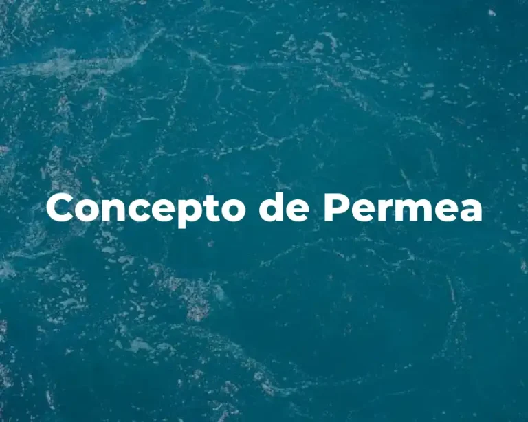 Concepto de Permea