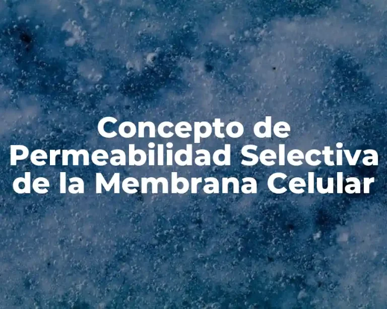 Concepto de Permeabilidad Selectiva de la Membrana Celular