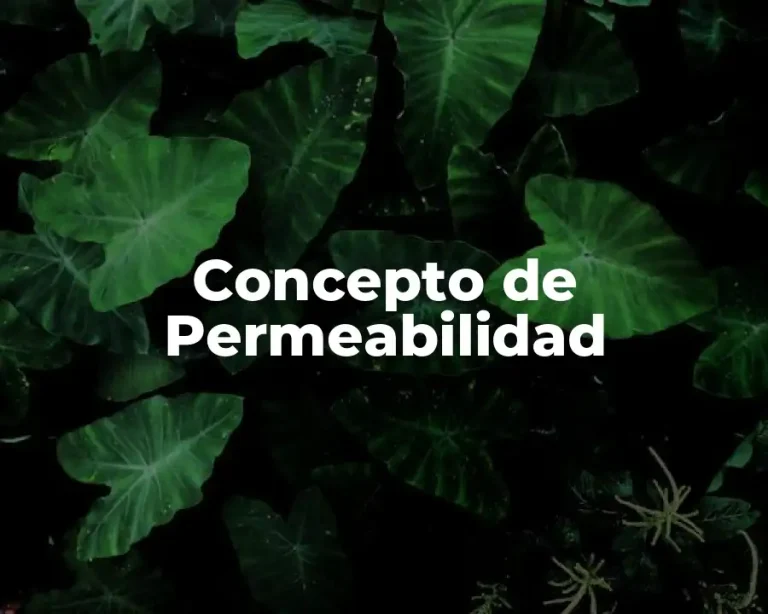 Concepto de Permeabilidad