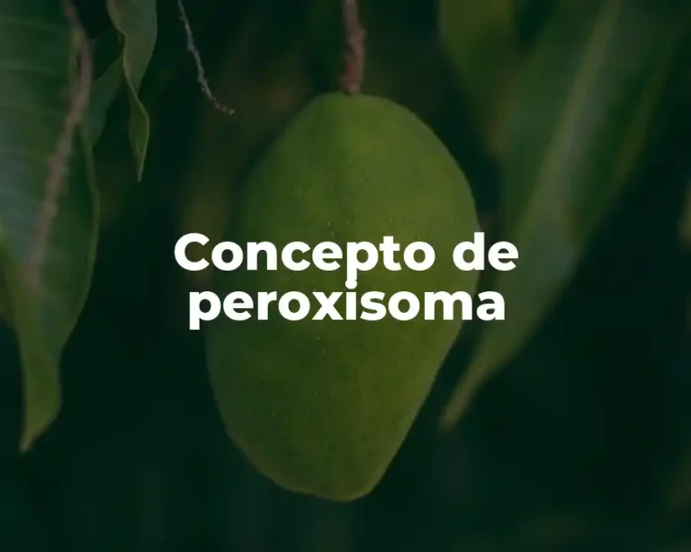 Concepto de peroxisoma