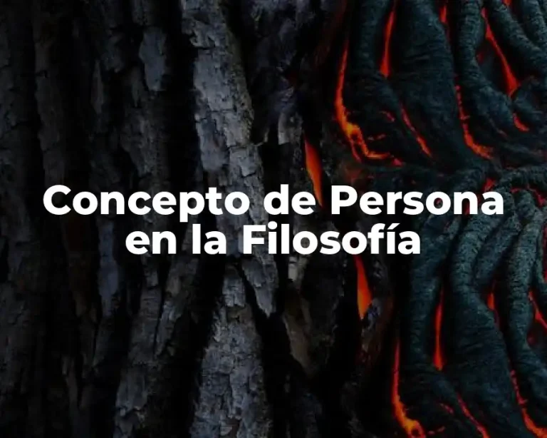 Concepto de Persona en la Filosofía