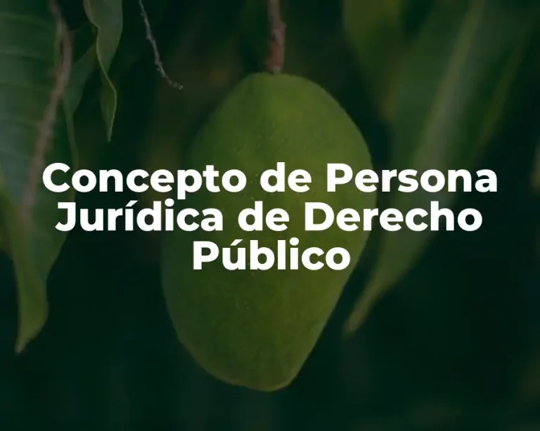 Concepto de Persona Jurídica de Derecho Público