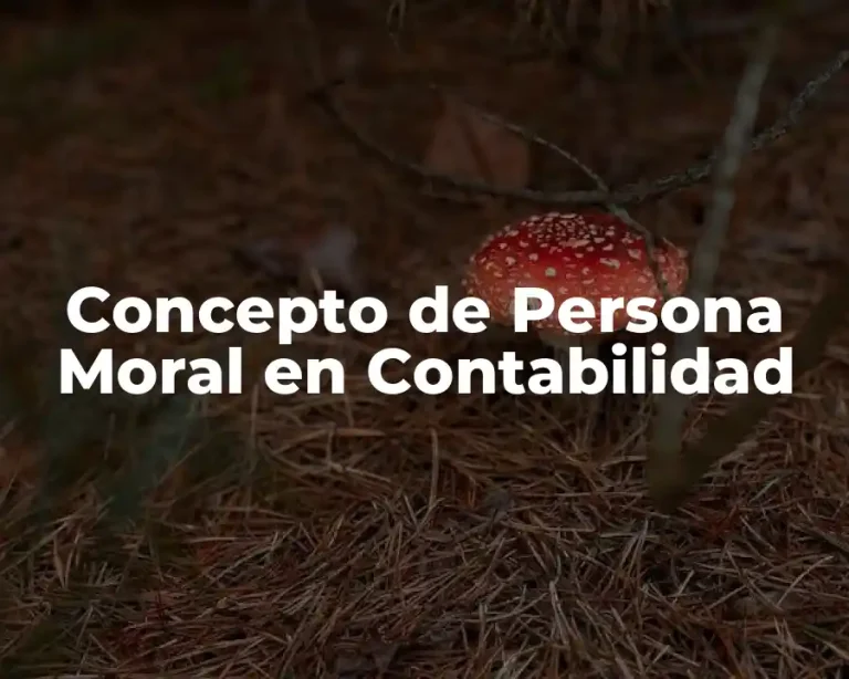 Concepto de Persona Moral en Contabilidad