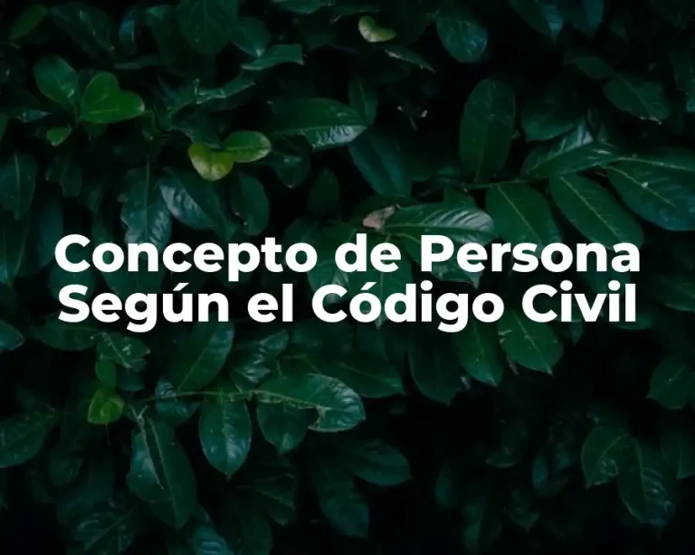 Concepto de Persona Según el Código Civil