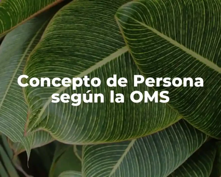 Concepto de Persona según la OMS
