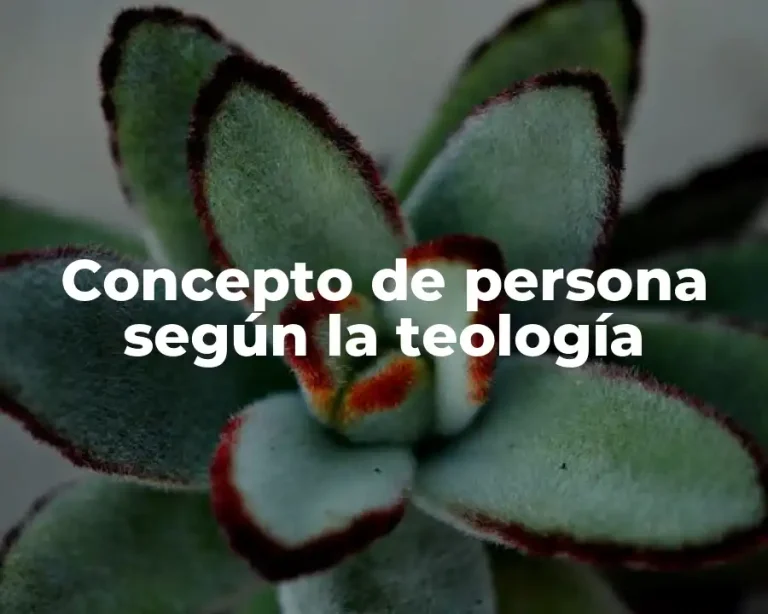 Concepto de persona según la teología