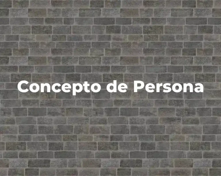 Concepto de Persona