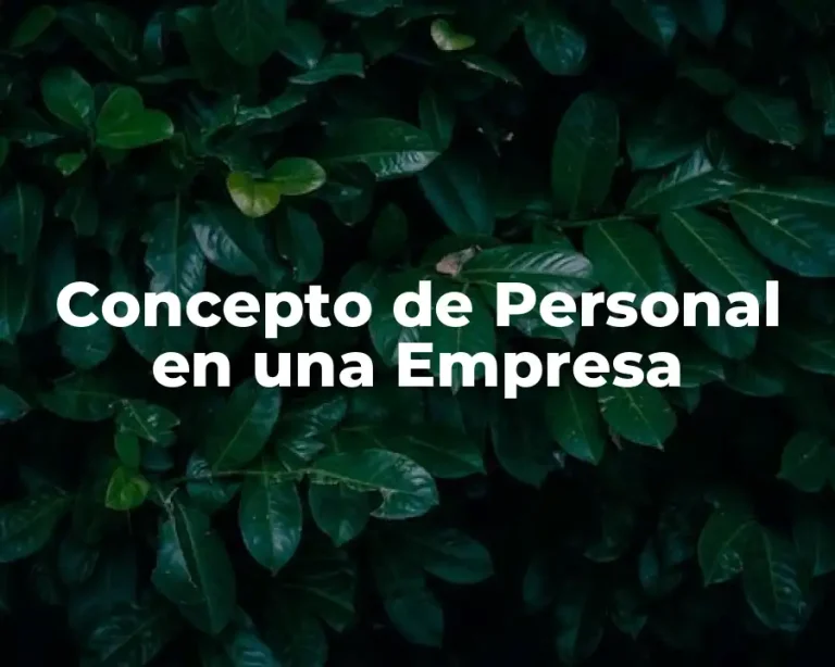 Concepto de Personal en una Empresa