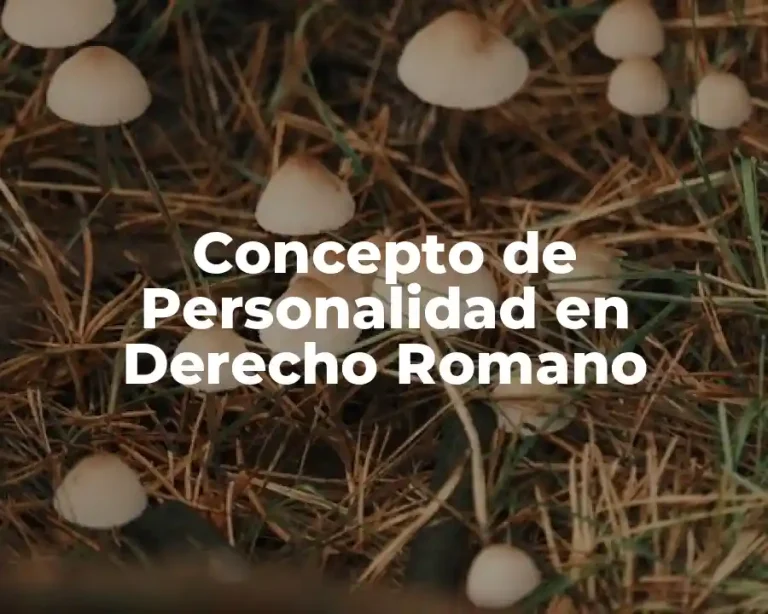 Concepto de Personalidad en Derecho Romano