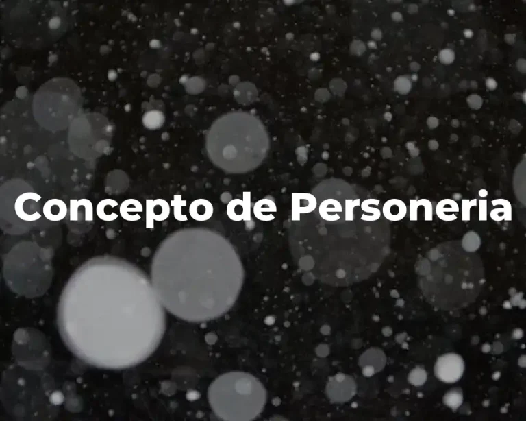 Concepto de Personeria