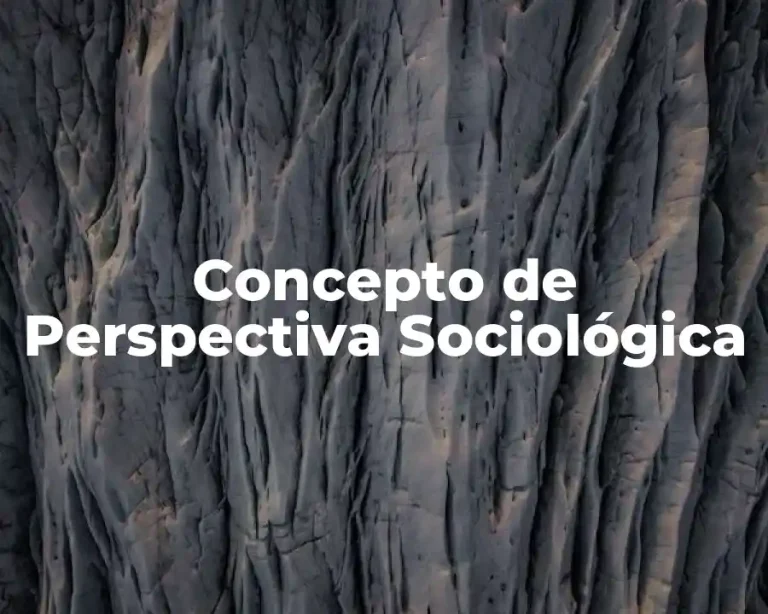 Concepto de Perspectiva Sociológica