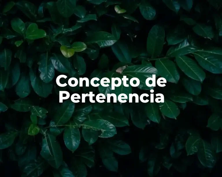 Concepto de Pertenencia