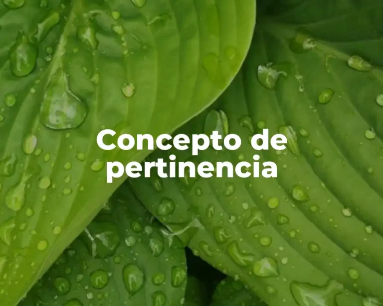 Concepto de pertinencia