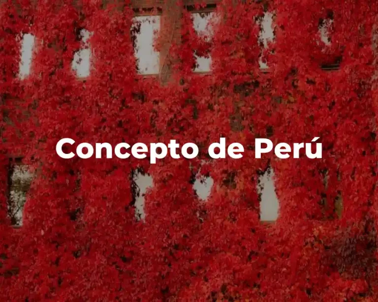 Concepto de Perú