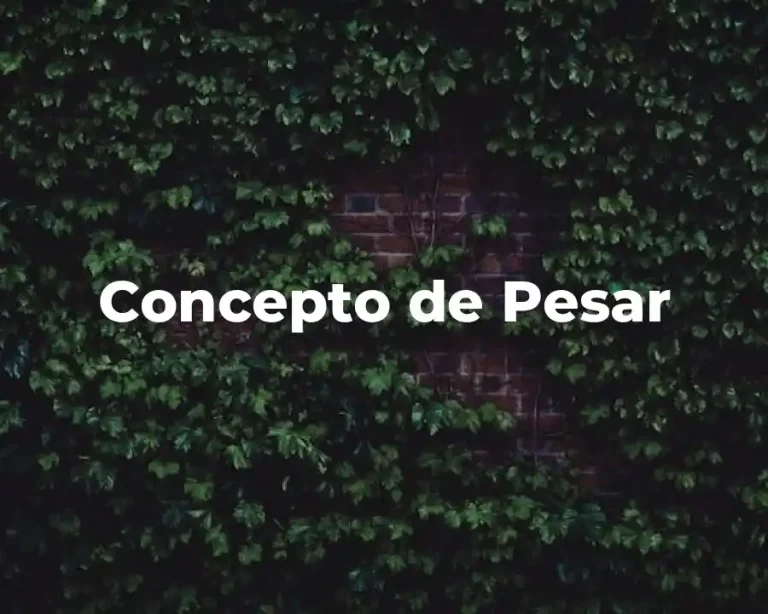 Concepto de Pesar
