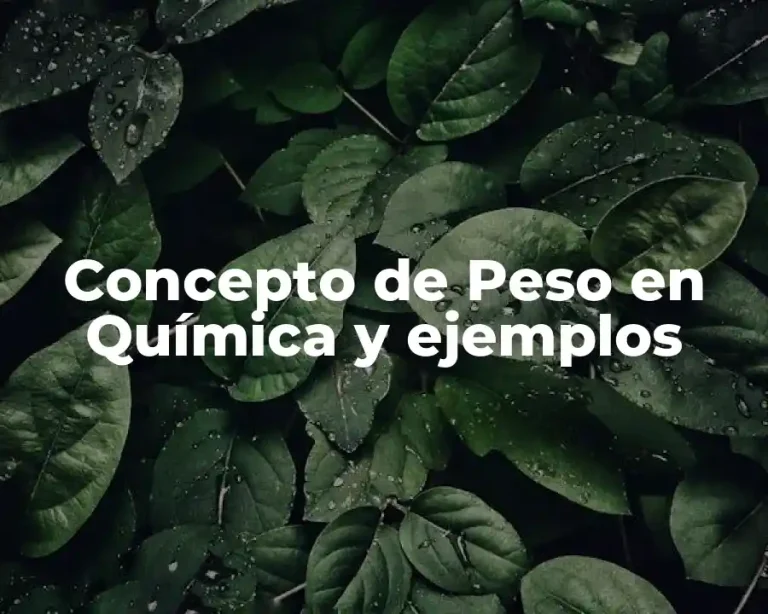 Concepto de Peso en Química y ejemplos