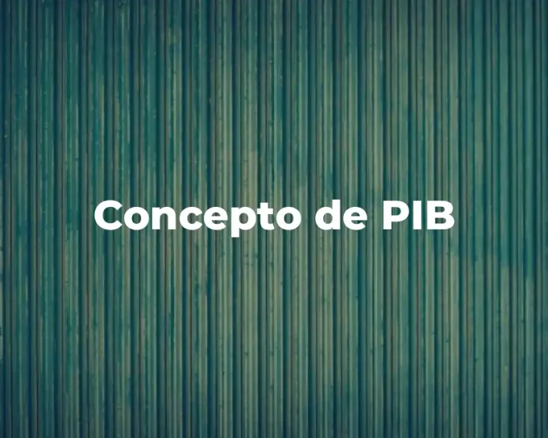 Concepto de PIB