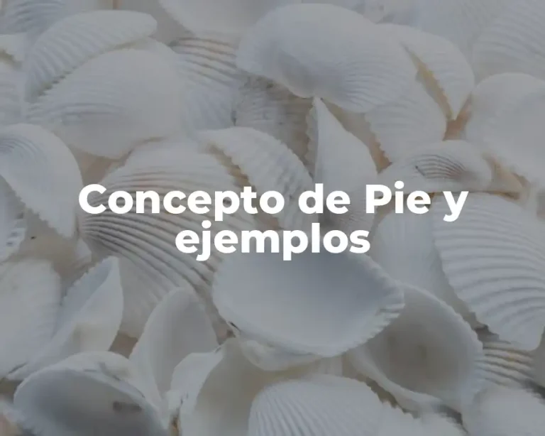 Concepto de Pie y ejemplos