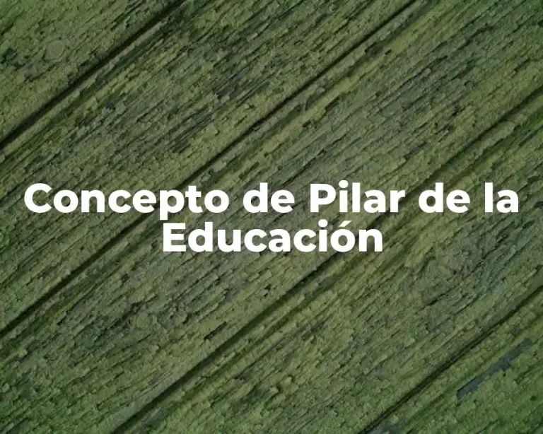 Concepto de Pilar de la Educación
