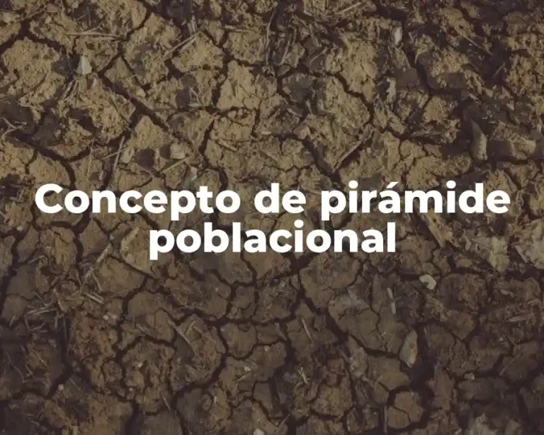 Concepto de pirámide poblacional