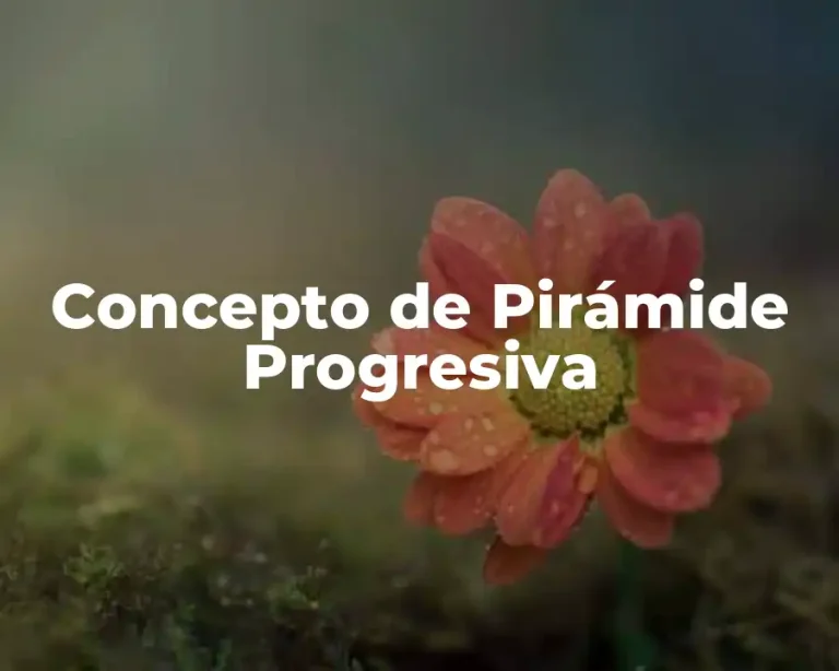 Concepto de Pirámide Progresiva