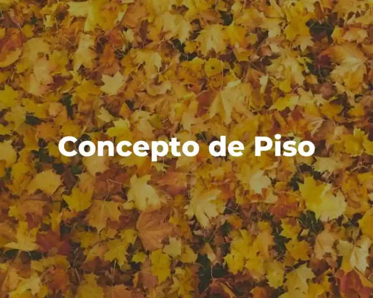 Concepto de Piso