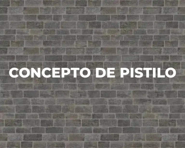 CONCEPTO DE PISTILO