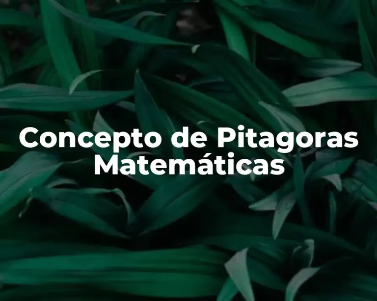Concepto de Pitagoras Matemáticas