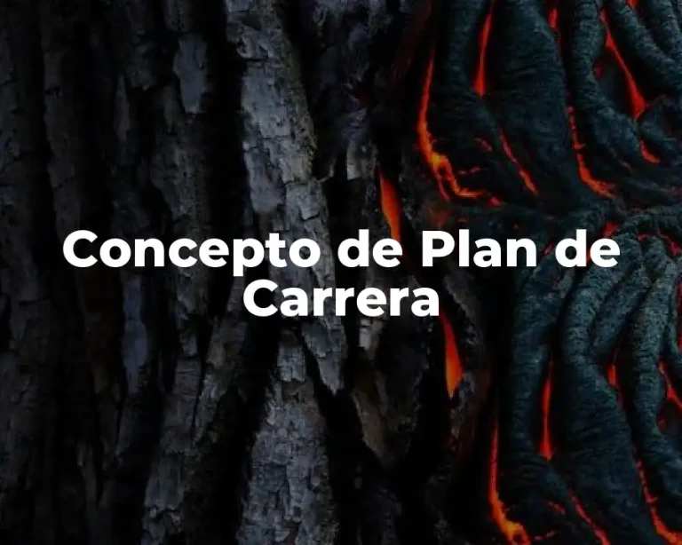 Concepto de Plan de Carrera