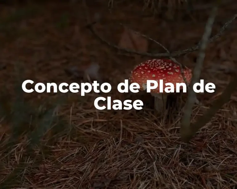 Concepto de Plan de Clase