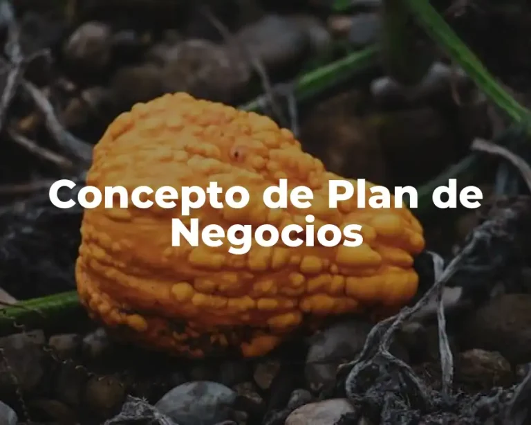Concepto de Plan de Negocios