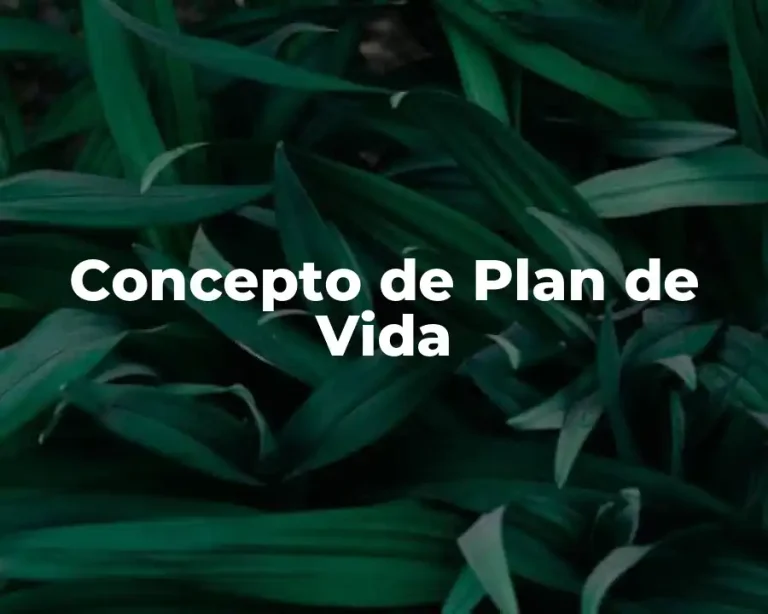 Concepto de Plan de Vida