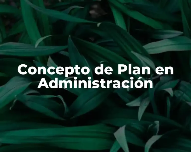 Concepto de Plan en Administración