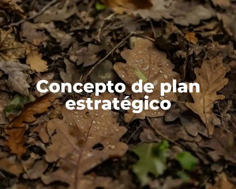 Concepto de plan estratégico