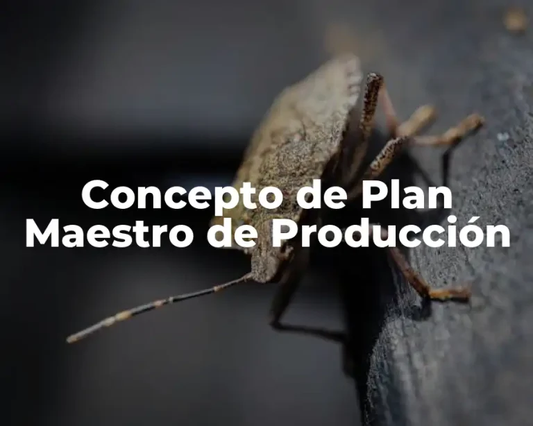 Concepto de Plan Maestro de Producción