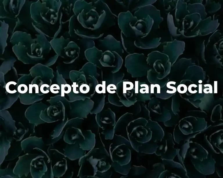 Concepto de Plan Social