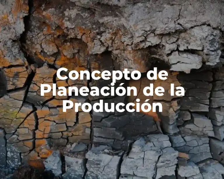 Concepto de Planeación de la Producción