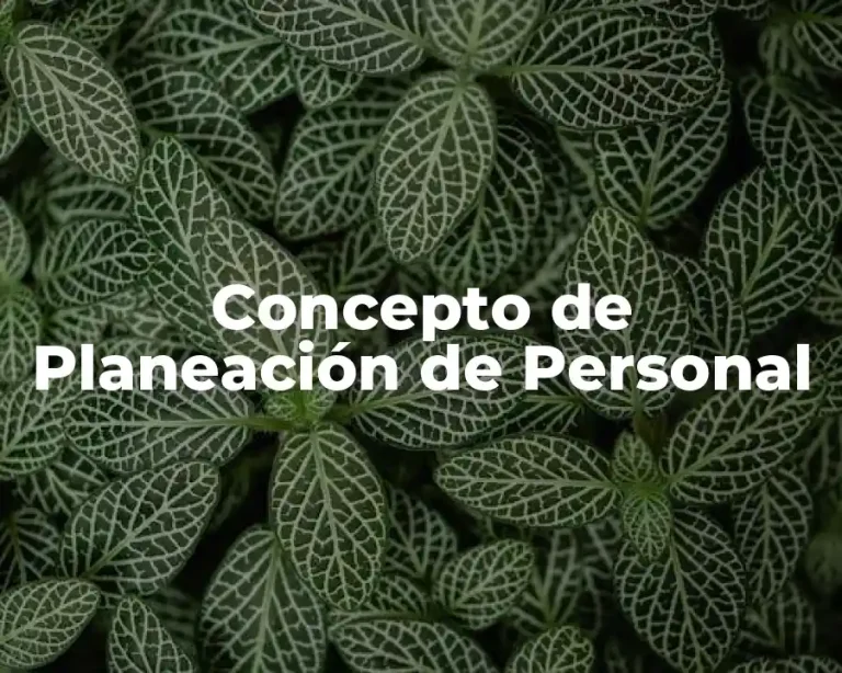 Concepto de Planeación de Personal