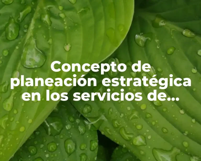 Concepto de planeación estratégica en los servicios de enfermería