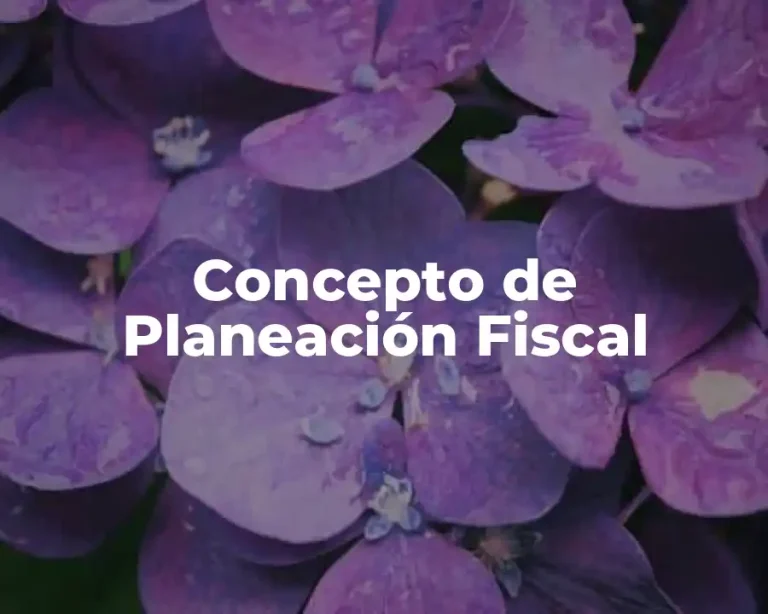 Concepto de Planeación Fiscal